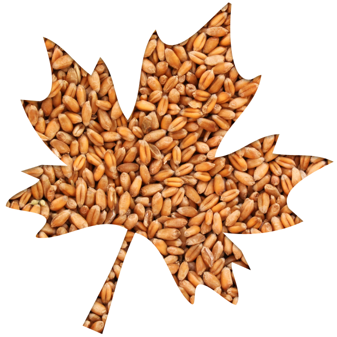 Great Plains flour bag